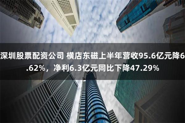 深圳股票配资公司 横店东磁上半年营收95.6亿元降6.62%，净利6.3亿元同比下降47.29%